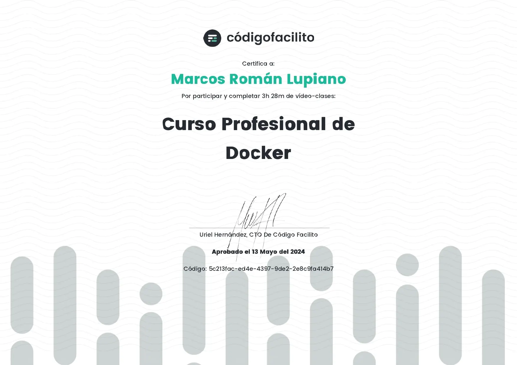 Curso Profesional de Docker